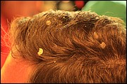 IMG_3055.JPG
