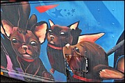 SR_IMG_9361.JPG