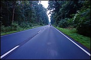 SS_DSC03905.JPG