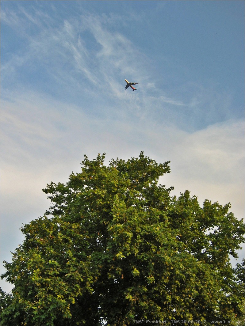 SR_IMG_9661.JPG