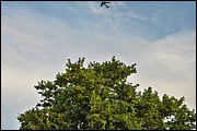 SR_IMG_9661.JPG