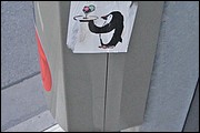 SR_IMG_0145.JPG