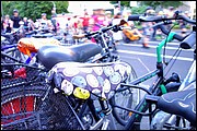 SS_DSC04871.JPG