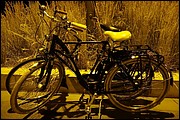 SS_DSC05062.JPG