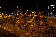SS_DSC05664.JPG