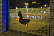 SR_IMG_0650.JPG