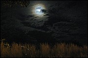 SR_IMG_0682.JPG