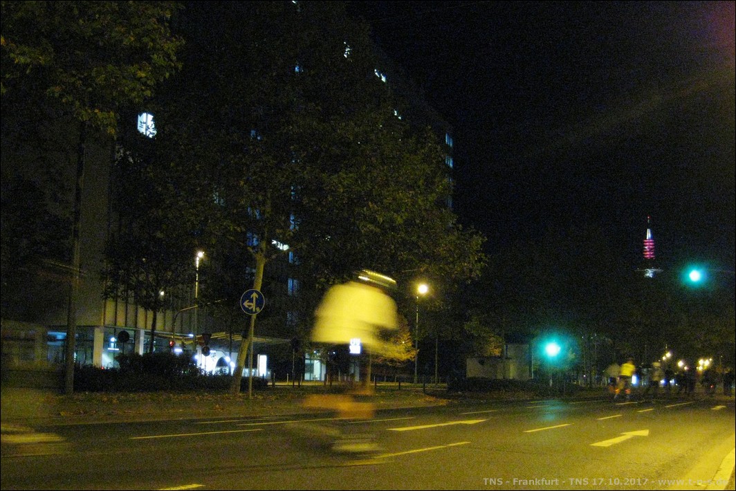 SR_IMG_1195.JPG