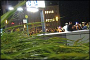 SR_IMG_1260.JPG