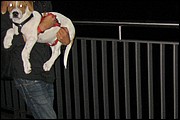 SR_IMG_1274.JPG