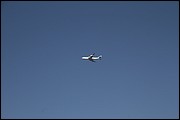MN_IMG_7617.JPG