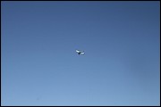 MN_IMG_8313.JPG