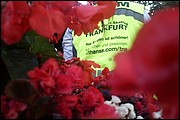 MN_IMG_20180703_210101.jpg