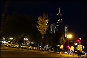 SS_DSC035.jpg