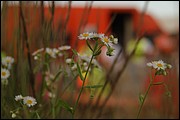 MN_IMG_4212.JPG