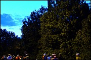 SR_DSC05699.JPG
