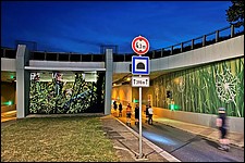 SR_IMG_2484.JPG
