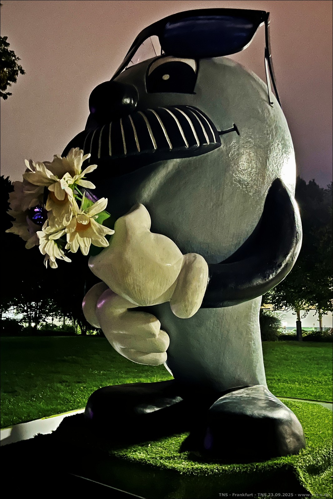 SR_IMG_4681.JPG
